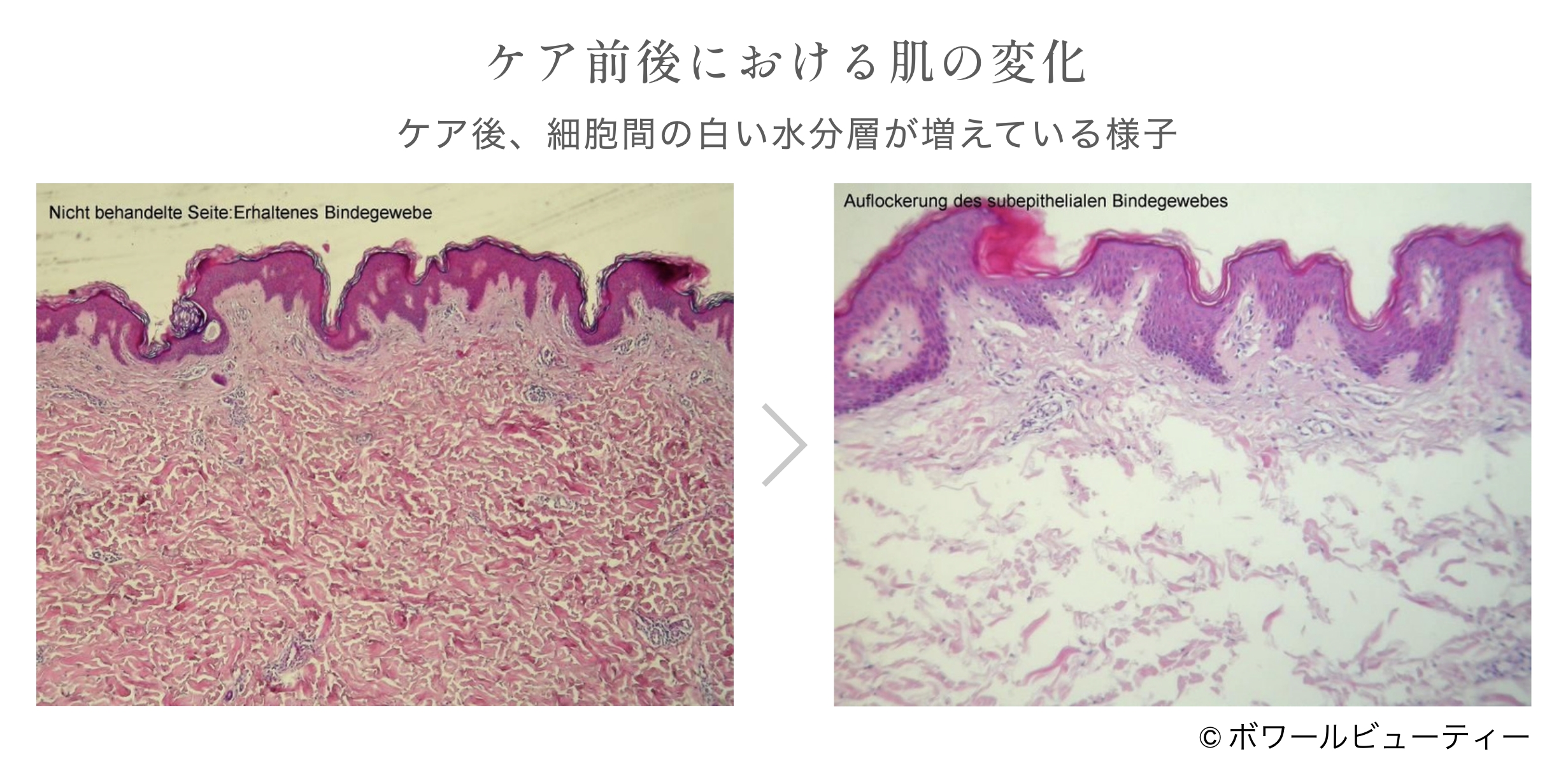 倉敷