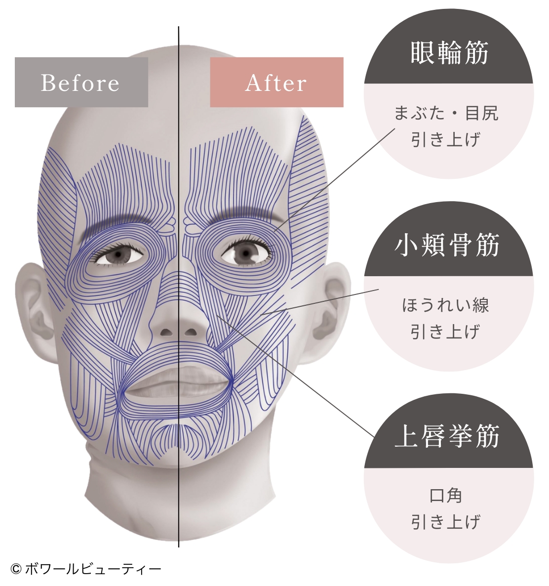 SEOコンテンツのH3見出し1